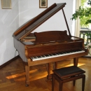 Pianoforte Steinway